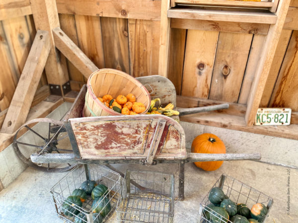 Pumpkin Wagon at the Cider Mill