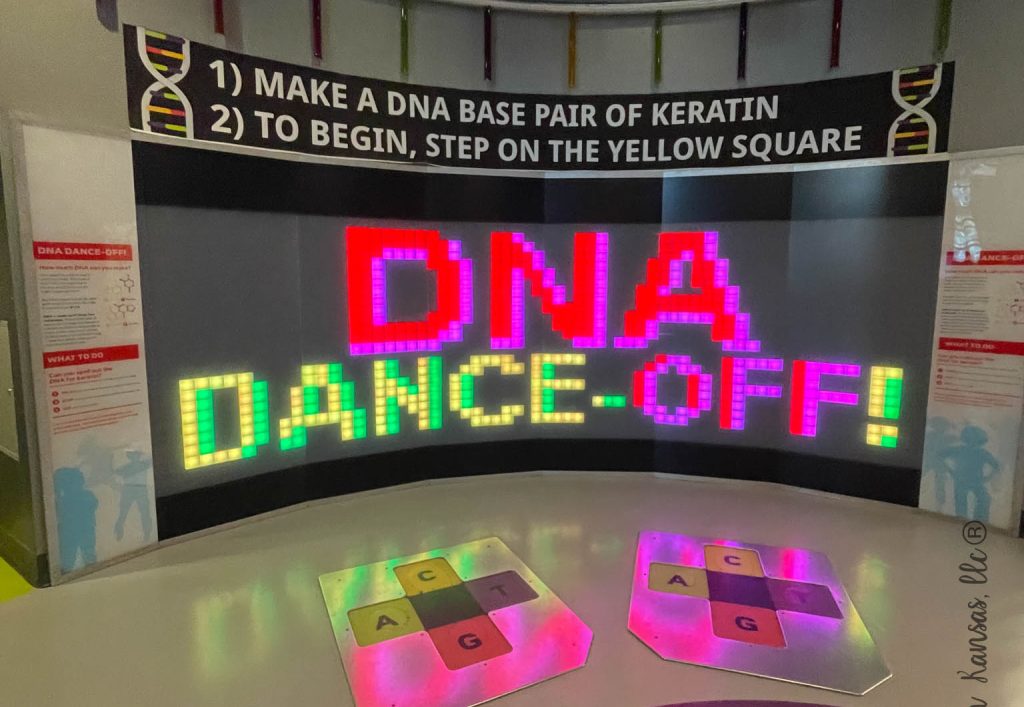 DNA Dance OFF 