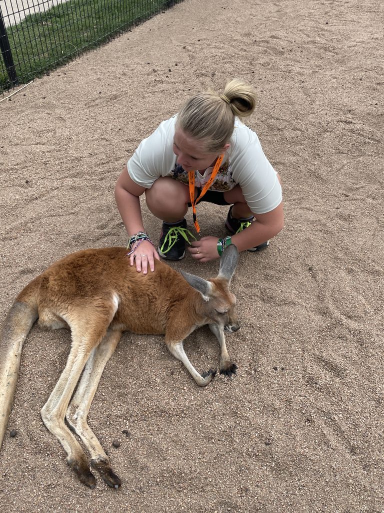 Petting the kangaroos
