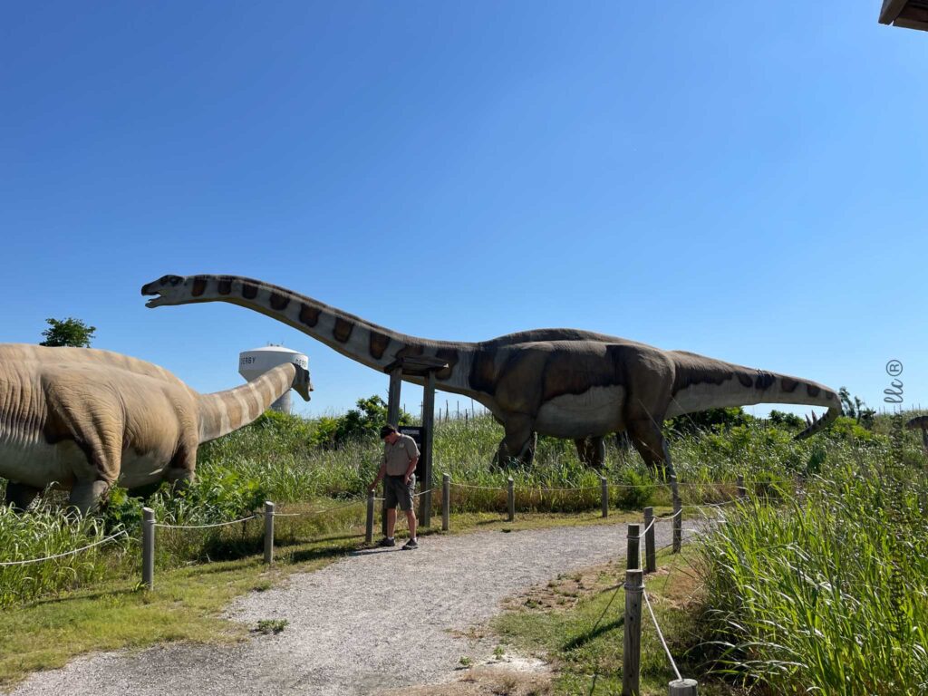 long neck Dino next to path at field station dinos  in derby, Kansas 