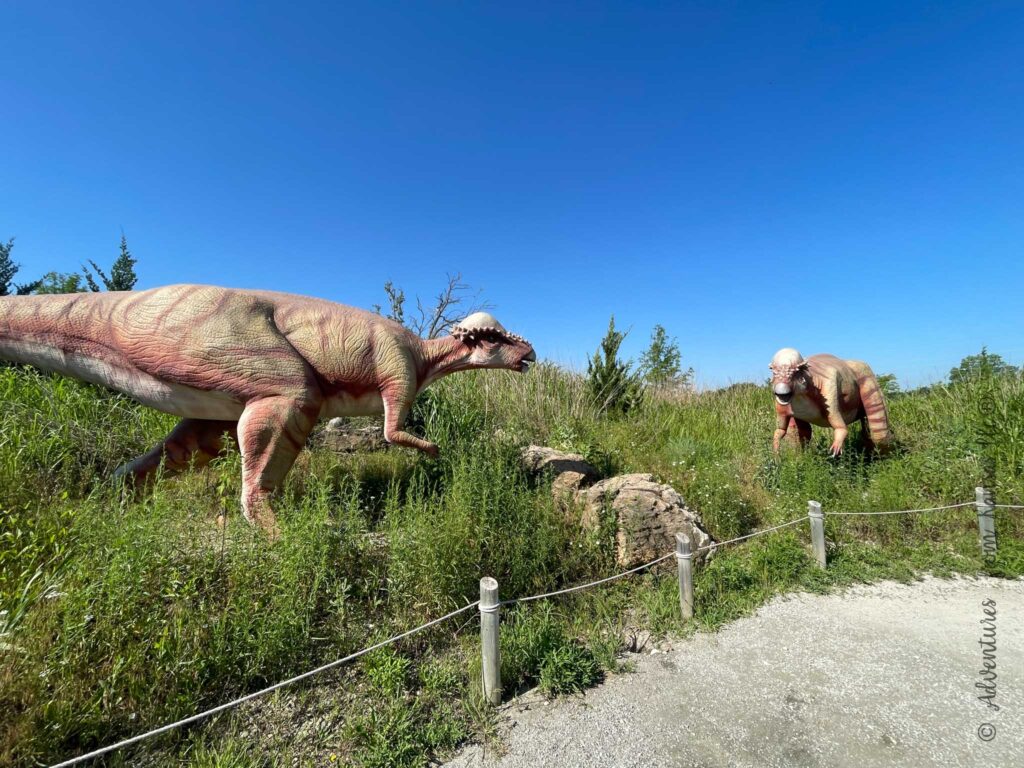 multiple dinos staring at each other on the path